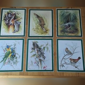 Lot of 6 Naturalist Zoology Vintage Illustrations Australian Wildlife